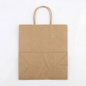 Kraft Paper Bag Medium - 300pcs - 100gsm