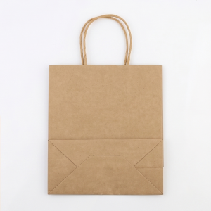 Kraft Paper Bag Small - 500pcs -100gsm